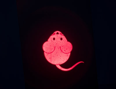 Trixie Laserspielzeug Fängt Das Licht Maus Usb Aufladbar