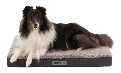 Trixie Bendson Orthopaedic Dunkelgrau / Hellgrau