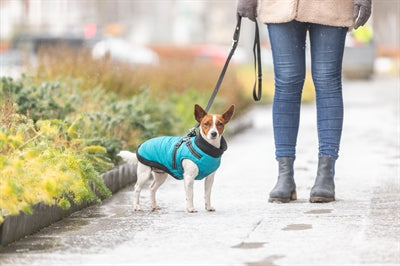 Trixie Hundemantel Pontis Mit Geschirr Aqua