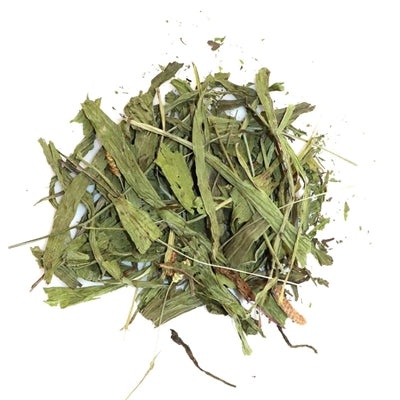 Utopia Für Nagetiere Und Kaninchen