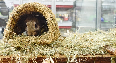 Happy Pet Grasiger Tunnel