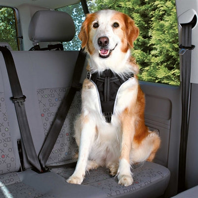 Trixie Hund Auto Hund Schützen Schwarz