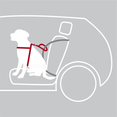 Trixie Hund Auto Hund Schützen Schwarz