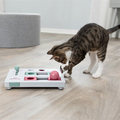 Trixie Katze Aktivität Gehirn Beweger Strategie Spiel