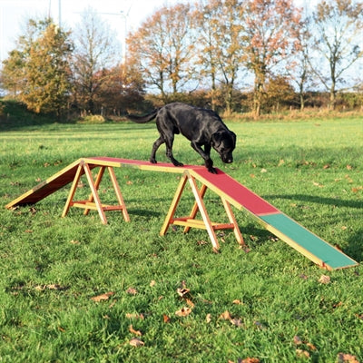 Trixie Hund Aktivität Agility Hundespaziergang