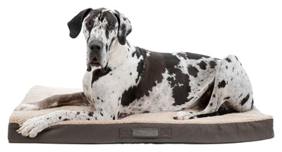 Trixie Vital Matratze Bendson Orthopädisch Dunkelbraun / Beige