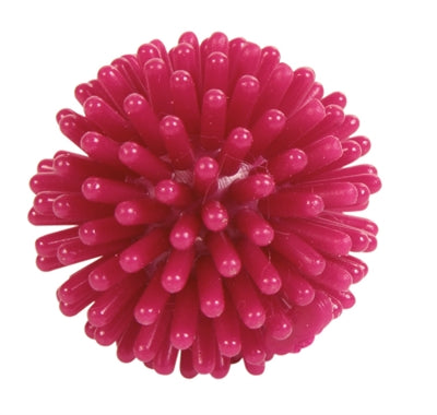 Trixie Igel Ball Vinyl Sortiert