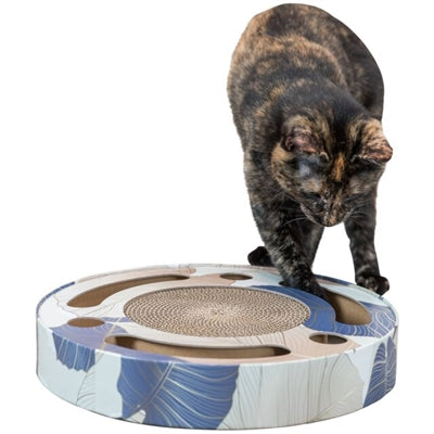 Trixie Mit Bällen Karton Mit Katzenminze Blau