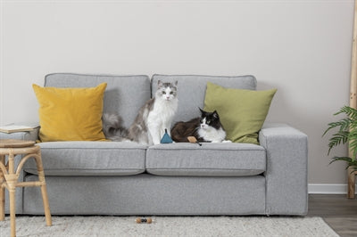 Trixie Citystyle Katze Spielzeug Hantel Kork Holz