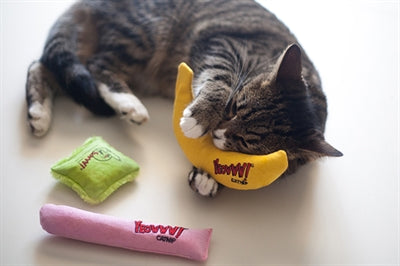 Yeowww Zzz# Yeowww Krug Mit Kissen Sortiert