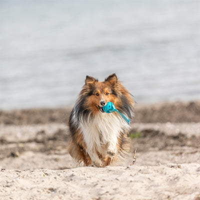 Trixie Wabenball Auf Seil Tpe
