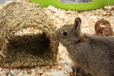 Happy Pet Grasiger Tunnel